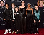Brad Pitt, Angelina Jolie’s Family Album: Pics With 6 Kids