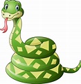 ᐈ Cartoon anaconda stock illustrations, Royalty Free anaconda pictures ...