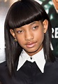 The Beauty Evolution of Willow Smith: From Will’s Mini Me to Style Star ...
