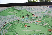 Visite Primrose Hill em Londres | Londres - Mapa de Londres