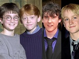 The boys of Harry Potter all grown up - Hot Lifestyle News