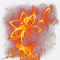 Baixar | Efeito de fogo, efeito de fogo, flor de fogo png | PNGEgg