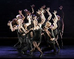 Bob Fosse, Ensemble Pose. Great shape! | Choreography | Dance art ...