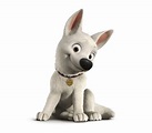 Disney's Bolt Photo: Cute Bolt | Bolt characters, Bolt disney, Bolt dog
