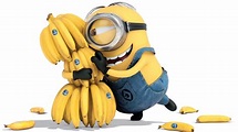 Minions With Yellow Bananas In White Background HD Minions Wallpapers ...