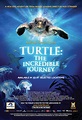 Turtle: The Incredible Journey - SeaWorld's First Film will Premier in ...