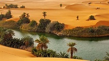Oasis Umm-al-maa in Sahara Desert, Ubari Lakes, Libya | Windows ...