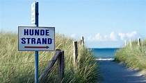 ᐅ Ostsee Hundestrand – zum Wasser hierlang! | Dog's Places