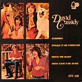 David Cassidy Discography - Cherish / Could It Be Forever / Rock Me ...