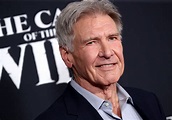 Harrison Ford hurt filming 'Indiana Jones 5,' more stars who were ...