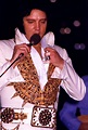 Elvis live in Louiville may 21 1977. | Elvis presley last concert ...