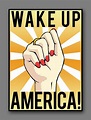 Wake Up America! (2016)