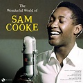 The Wonderful World Of Sam Cooke: Cooke Sam: Amazon.it: Musica