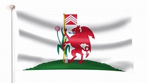 Cardiff Flag - Hampshire Flag Company