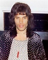 40 Fabulous Vintage Photographs of a Young Freddie Mercury in the 1970s ...