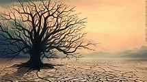 Painting of withered tree in desert under clear sky during daytime HD ...