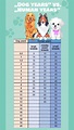 How old do dogs live? (Life expectancy in table)