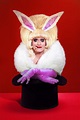 Lady Bunny on Fame, Fascism, and Fried Chicken