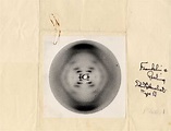 Enroque de ciencia: Rosalind Franklin. La fotografía 51