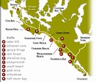 Tofino activities: Pacific Rim National Park