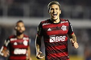 Pedro faz 50º gol pelo Flamengo: 'Feliz demais com essa marca' - 02/07 ...