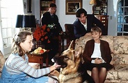 Kommissar Rex (1994) S04E01: Lebendig begraben – fernsehserien.de