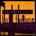 Screaming Trees - Buzz Factory (album review ) | Sputnikmusic