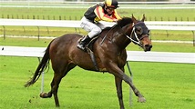 Racing: Colt on road to Vic Derby - NZ Herald