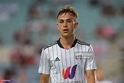 Wales And Fulham Wonder Kid Luke Harris Backed For Dramatic World Cup ...