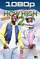 Descargandoxmega | How High 2 (2019) HD 1080p Latino