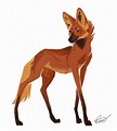 Las mejores 10+ ideas de Lobo de Crin/ Maned Wolf | aguara guazu ...