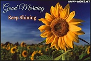 20 Good Morning Wishes With Sunflower