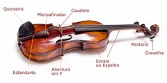 Partes Do Violino Nomes - EDUCA