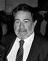 Jack Schwartzman - Wikipedia
