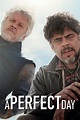A Perfect Day (2015) - Posters — The Movie Database (TMDB)