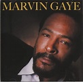 Music Crates: Marvin Gaye Discography