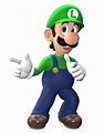 Luigi | SuperMarioGlitchy4 Wiki | Fandom