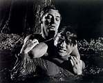 Cape Fear (1962) and The Killers (1964) - Toronto Film Society