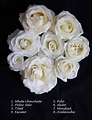 Varieties of White Roses – Flirty Fleurs The Florist Blog – Inspiration ...