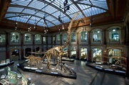 Natural History Museum | NelamNaushad