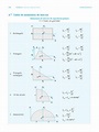TABLAS MOMENTOS DE INERCIA.pdf | Rectángulo | Objetos geométricos