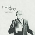 Foundling - Album by David Gray | Spotify