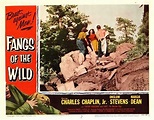 Fangs of the Wild (1954)