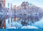 Central Park Nueva York Los E.E.U.U. En El Invierno Cubierto Con Nieve ...