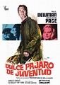 m@g - cine - CINE - 1962 - DULCE PAJARO DE JUVENTUD - Sweet Bird of ...