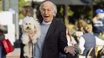 'Curb Your Enthusiasm': Larry David Hasn't Changed in a Season 11 First ...