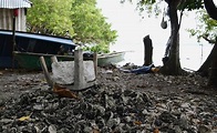En fosa clandestina en Veracruz hallan 65 cuerpos y 5 mil restos