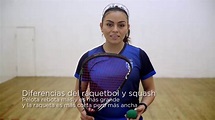 Conociendo el deporte - Ráquetbol con Gabriela Martínez - YouTube