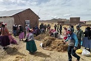 Agricultores de Caracoto-Puno aprenden técnicas para producir abonos ...