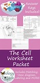 Cell Theory Worksheet 6th Grade